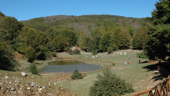 Verteglia na kapatagan