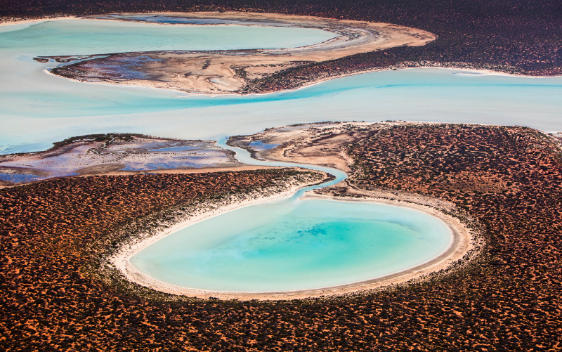 Žraločí zátoka, Západní Austrálie - Contea di Shark Bay | Secret World Trip Planner