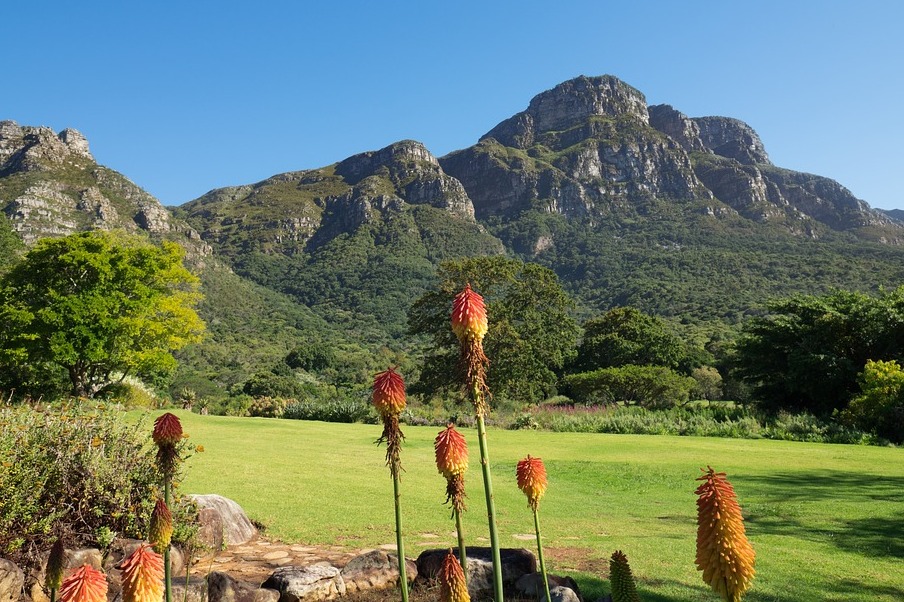 Ing Kirstenbosch Nasional Botanical Garden - Cape Town | Secret World Trip Planner