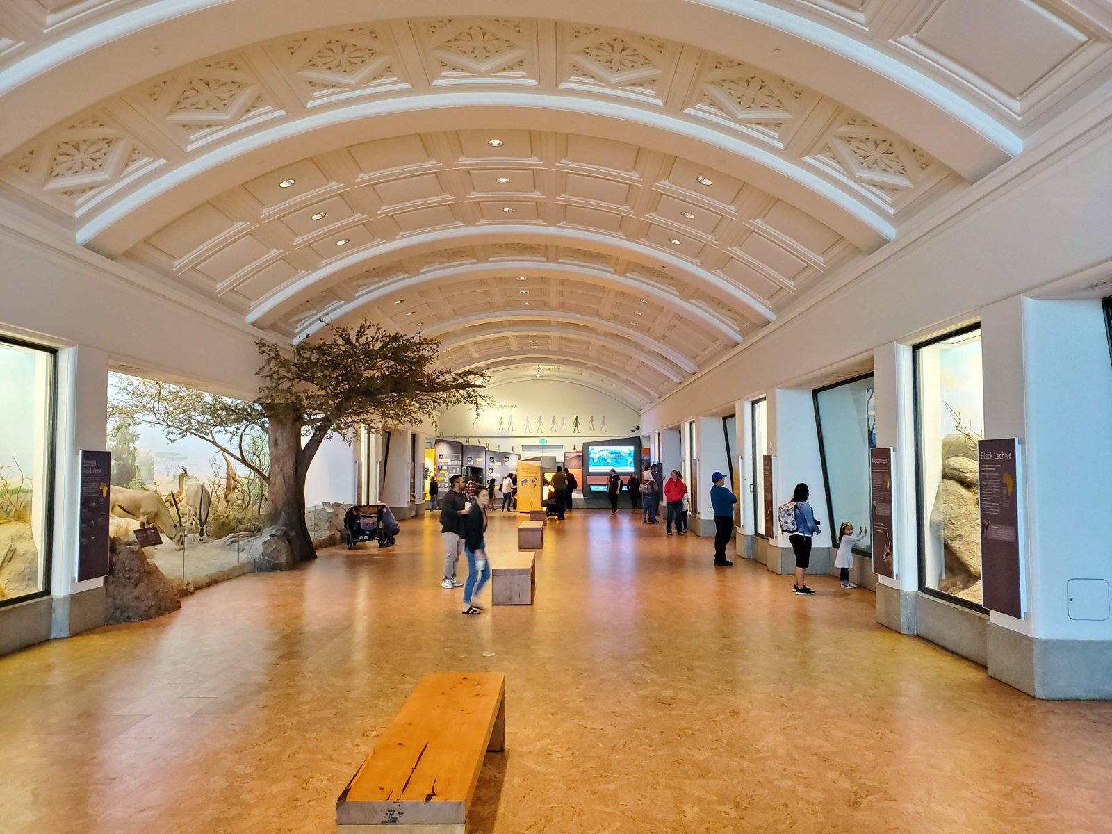 Renzo Piano: California Academy Of Sciences Museum - San Francisco | Secret World Trip Planner