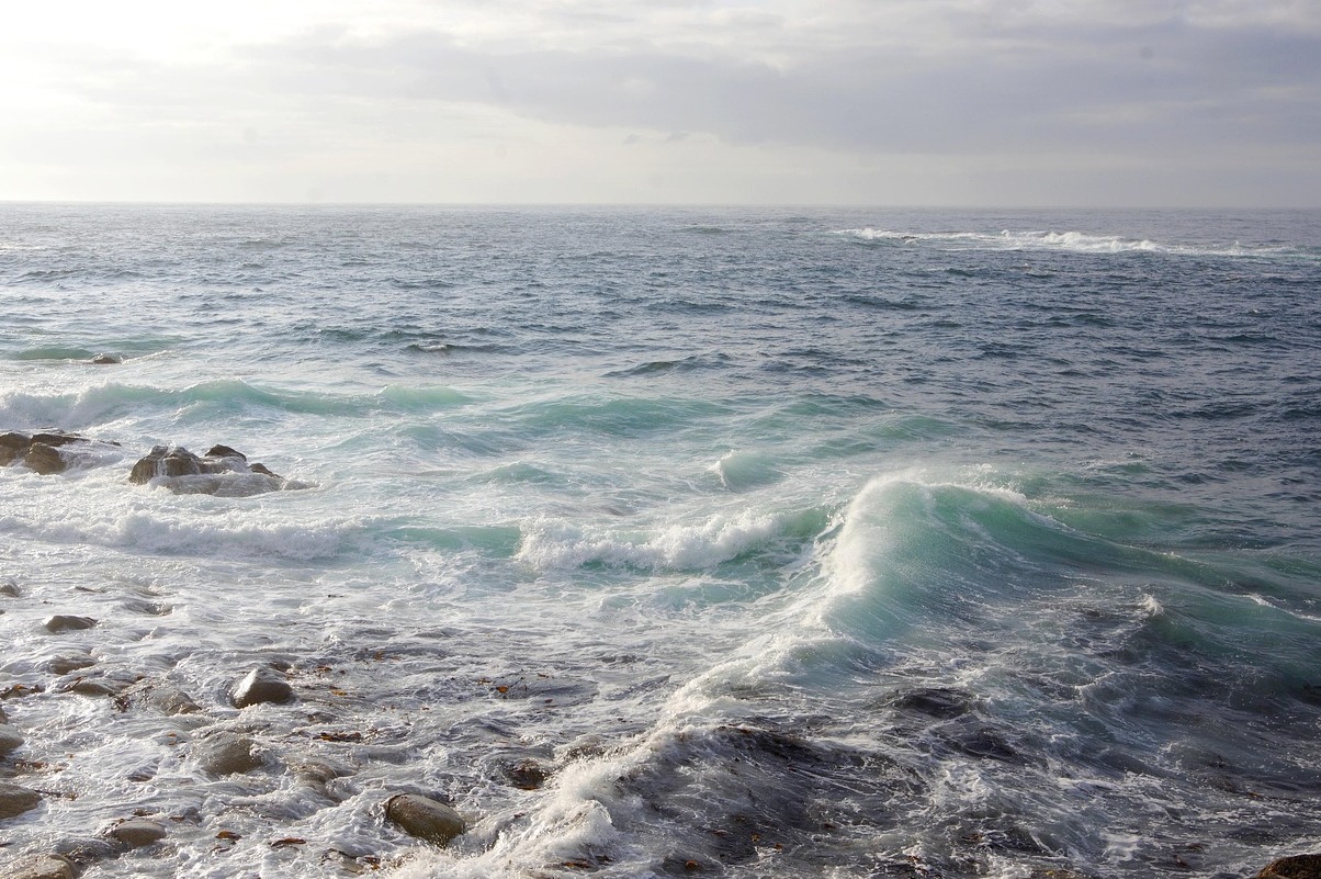 Os jardins perdidos de Heligan na Cornualha - Pentewan | Secret World Trip Planner