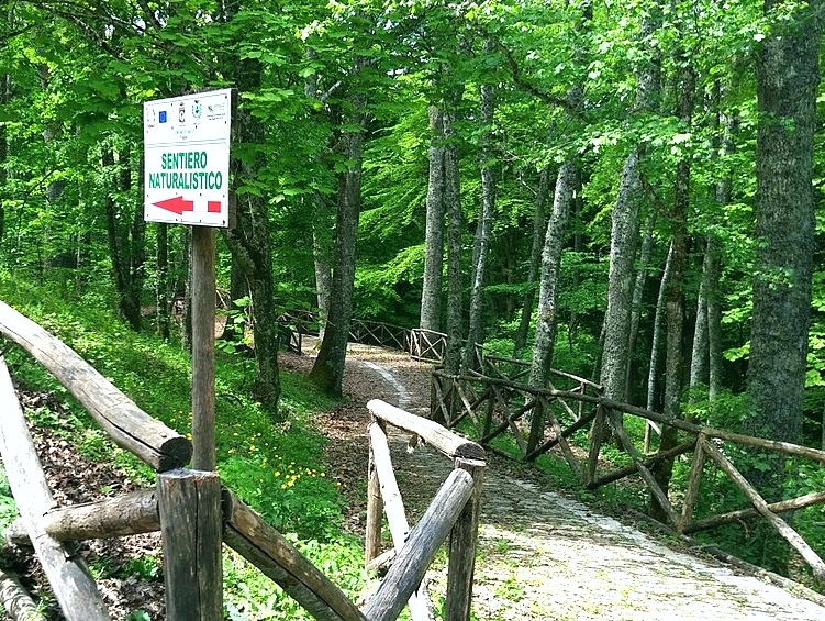 Европа: Монгол үл хайхран ой мод хүрээлэгдсэн тосгон - Faeto | Secret World Trip Planner