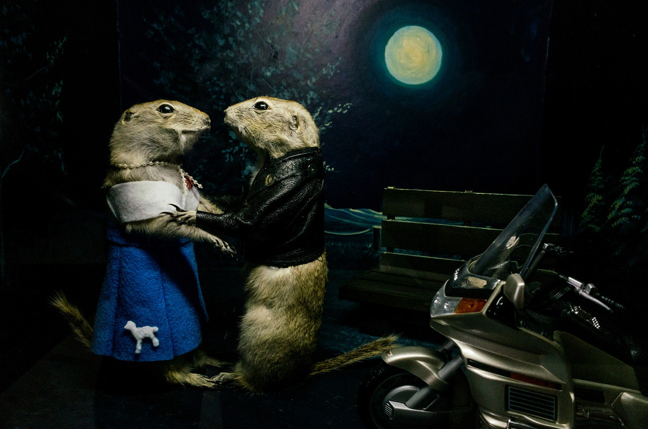 Torrington | An Gopher Poll Músaem - Torrington | Secret World Trip Planner