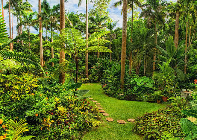 Hunte’s Gardens is a real Caribbean gem - Coffee Gully | Secret World Trip Planner