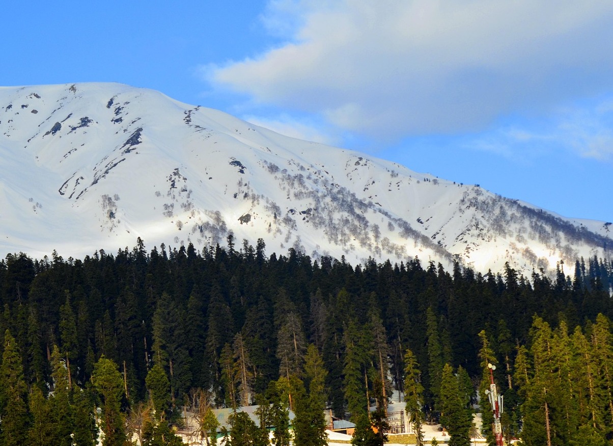 Гульмарг или “Луг цветов” - Тайный мир - Gulmarg | Secret World Trip Planner