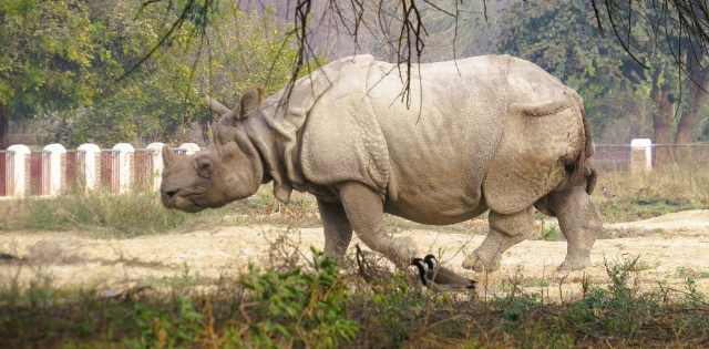 Parc national de Lal Suhanra - Bahawalpur | Secret World Trip Planner