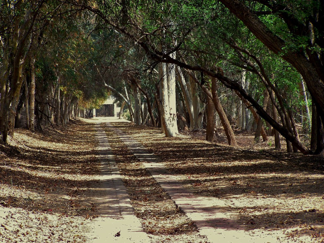 拉尔苏汉拉国家公园 - Bahawalpur | Secret World Trip Planner