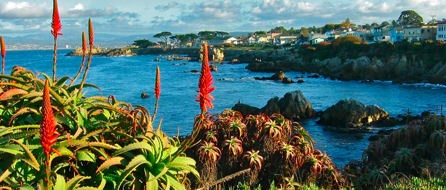 La Península De Monterey - Del Monte Forest | Secret World Trip Planner