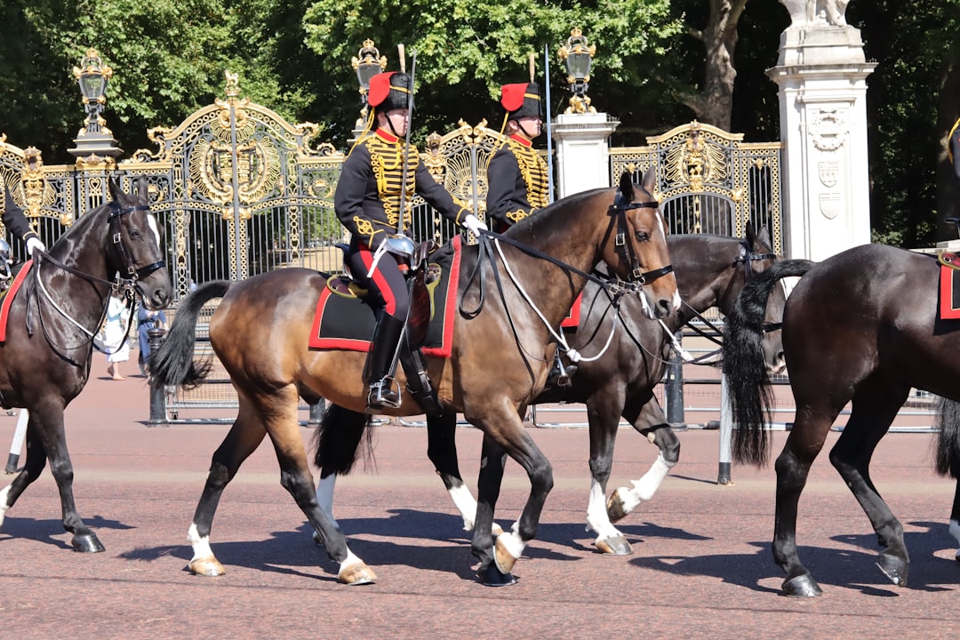 מוזיאון פרשים ביתי: מוזיאון חי בלב שומרי סוסים. - Westminster | Secret World Trip Planner