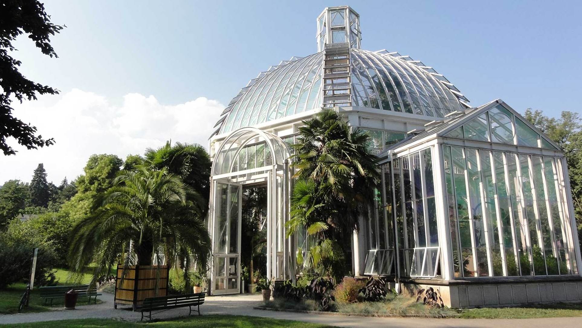 日内瓦：温室和植物园 - Ginevra | Secret World Trip Planner