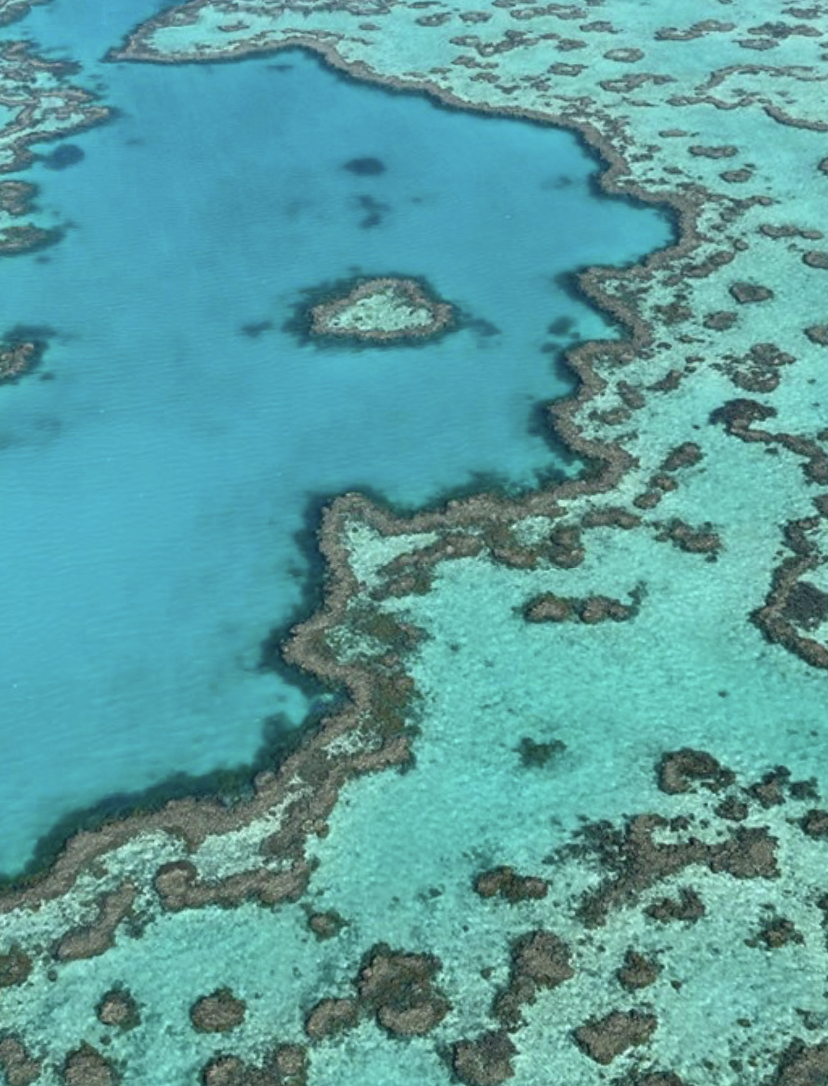 Seven Natural Wonders of the World: Great Barrier Reef - Grande barriera corallina | Secret World Trip Planner