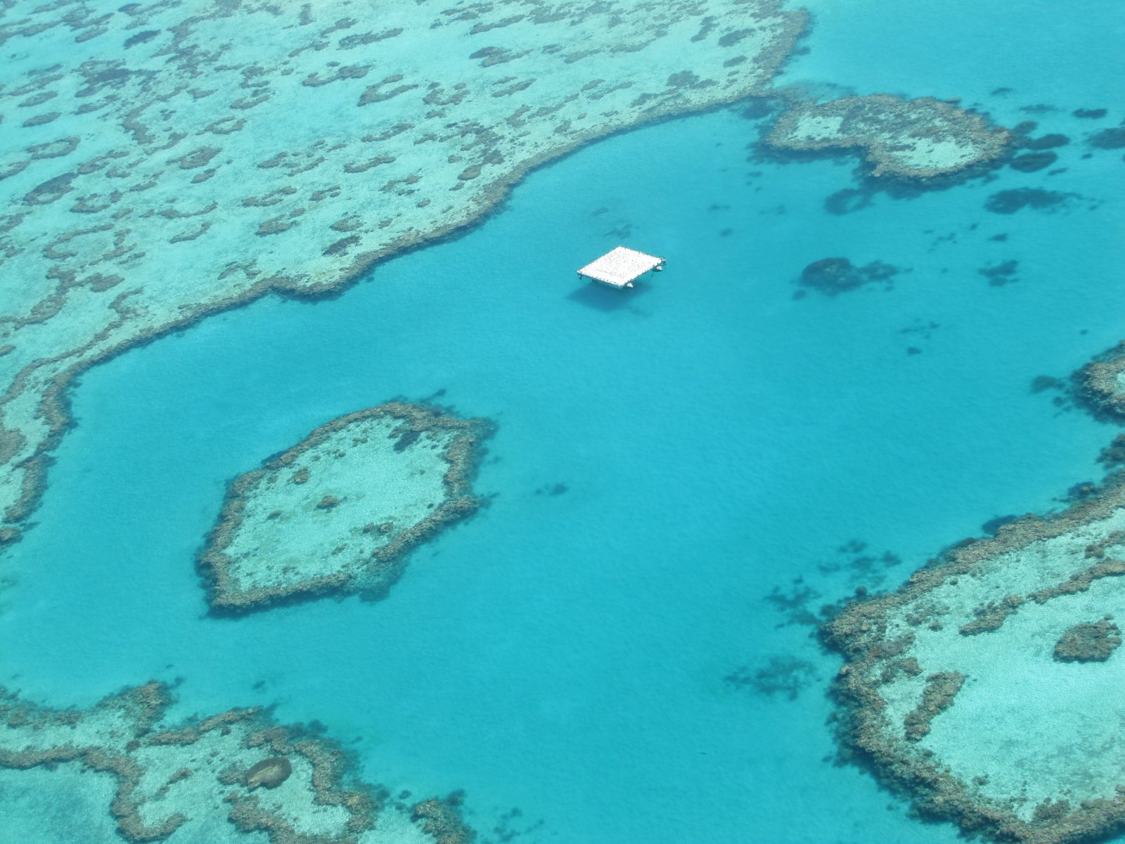 Seven Natural Wonders of the World: Great Barrier Reef - Grande barriera corallina | Secret World Trip Planner