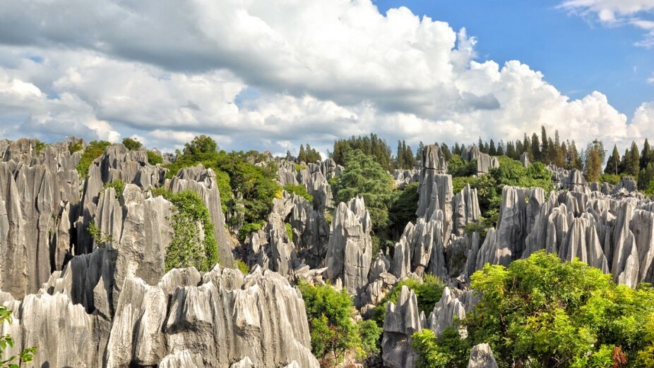 Stone Forest Geological Park, 87 km van Kunming City - Kunming | Secret World Trip Planner