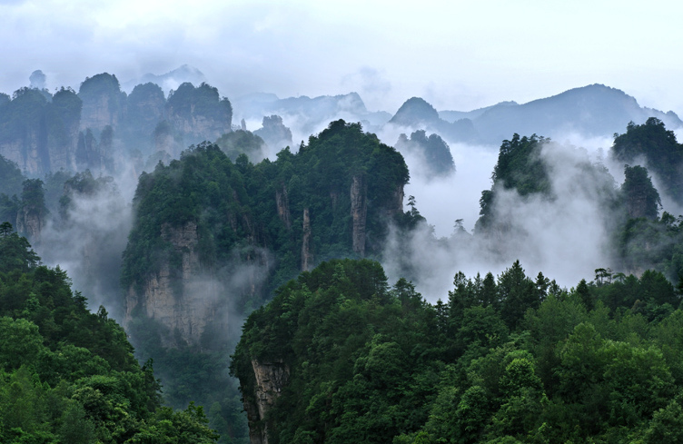 Yangjiajie scénické oblasť je jedným z must-pozri Atrakcií v Zhangjiajie. - Zhangjiajie | Secret World Trip Planner