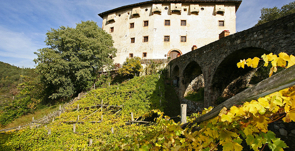 프리시아노의 캣 캣 또는 캣 캐슬 - Prissiano | Secret World Trip Planner