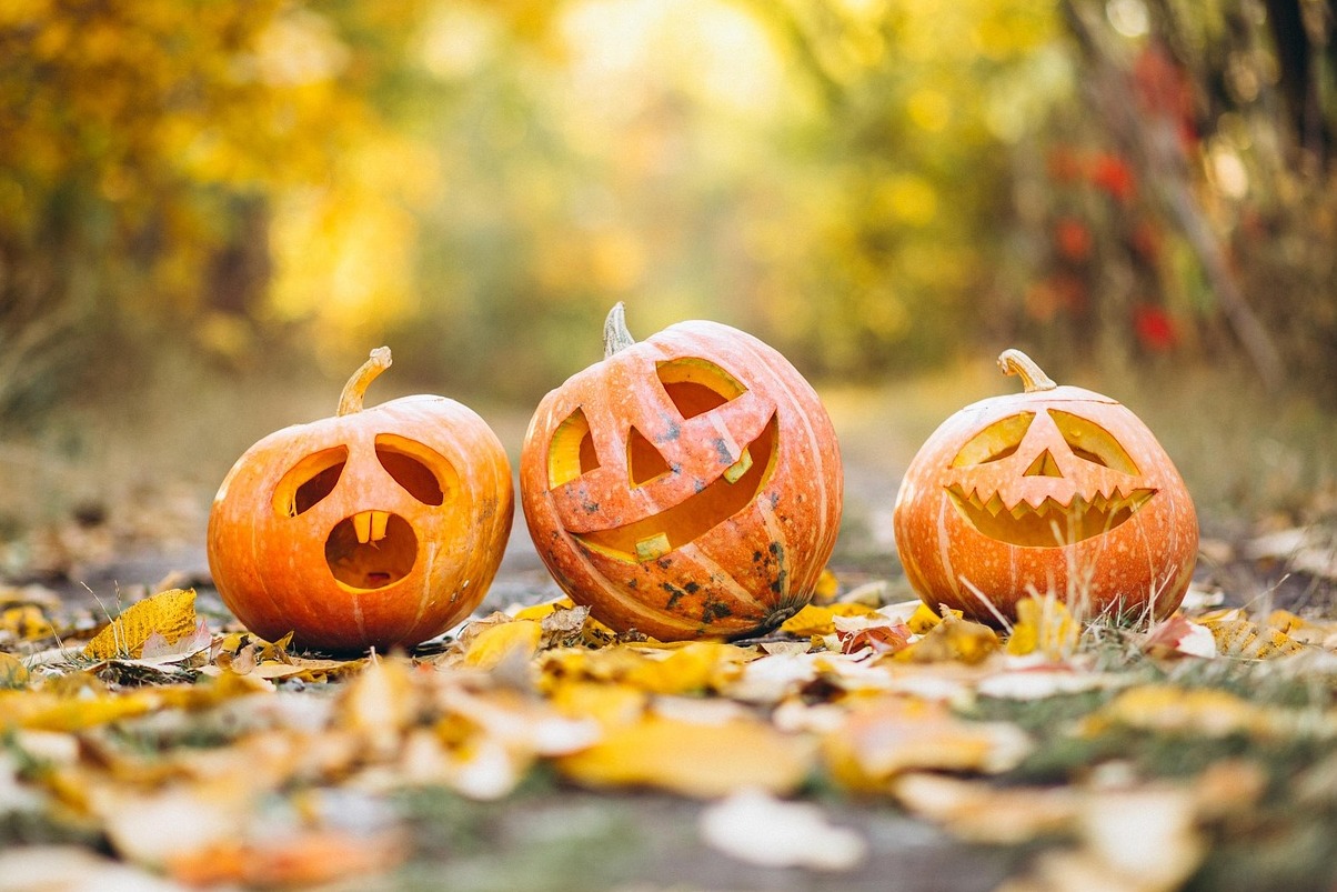 버그 페이르스버그 또는 날레스의 바바로 성 - 1 | Secret World Trip Planner