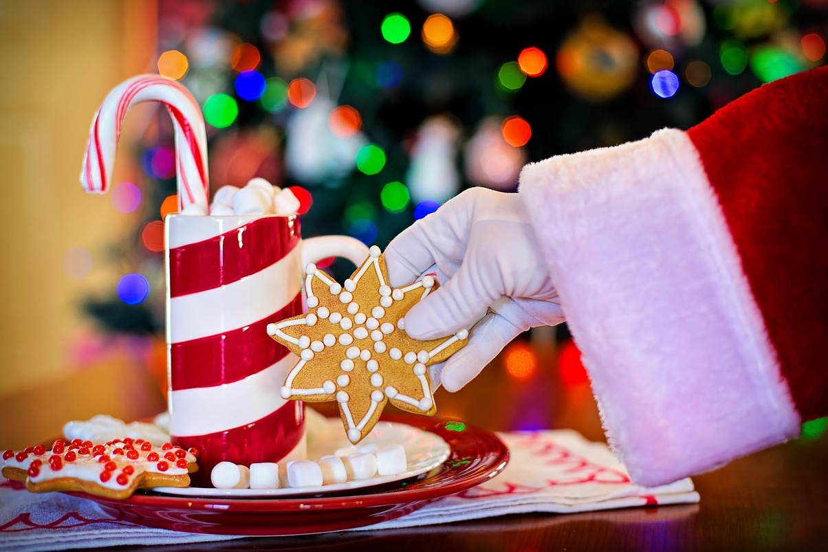 ロヴァニエミのサンタクロース村 - Rovaniemi | Secret World Trip Planner