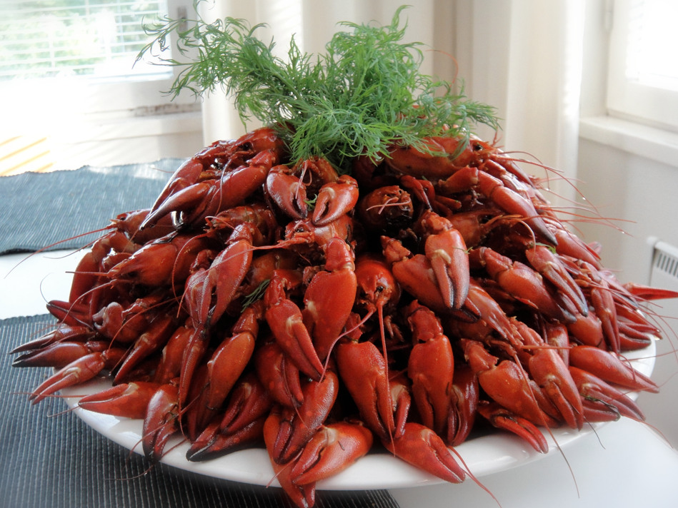 RAPU Crayfish parties or “kraftskiva” | Secret World Trip Planner