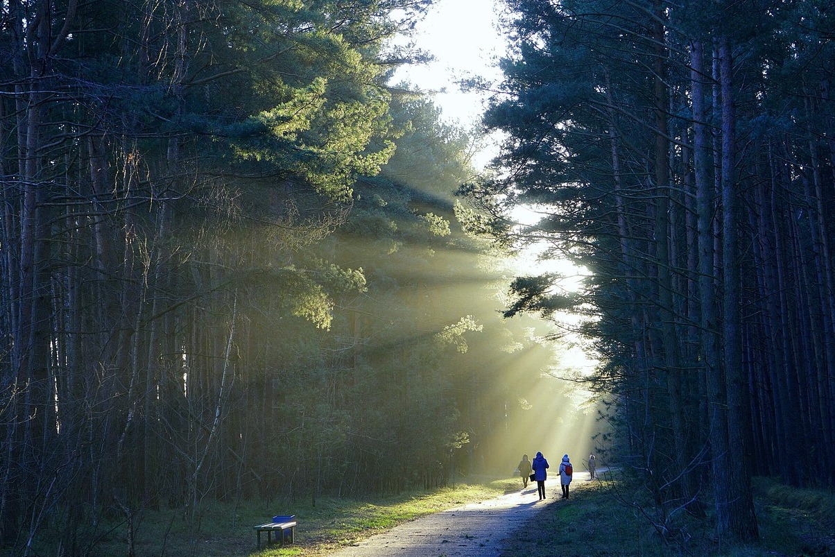 坦佩雷是芬兰的一种生活方式 - Tampere | Secret World Trip Planner