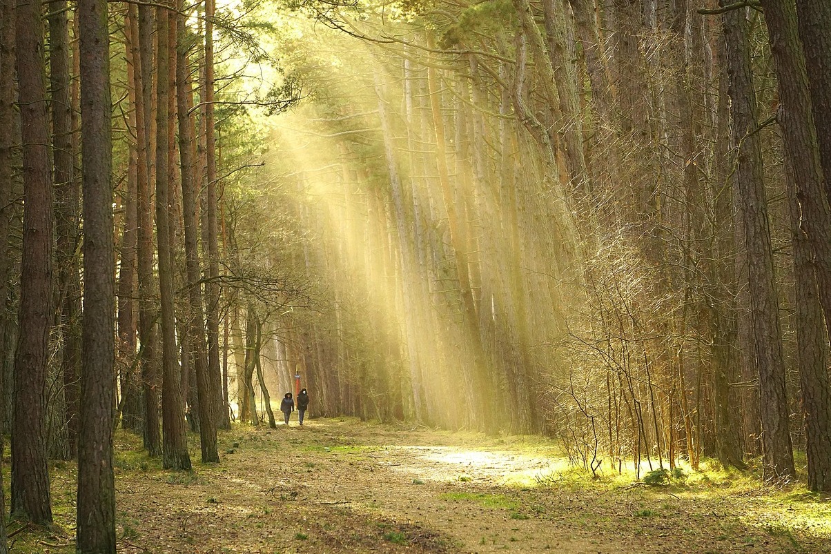 坦佩雷是芬兰的一种生活方式 - Tampere | Secret World Trip Planner