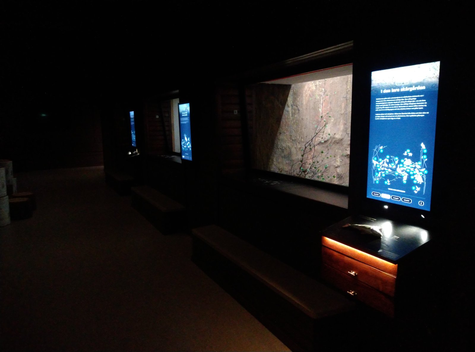 Turu Bioloogiamuuseum - Turku | Secret World Trip Planner