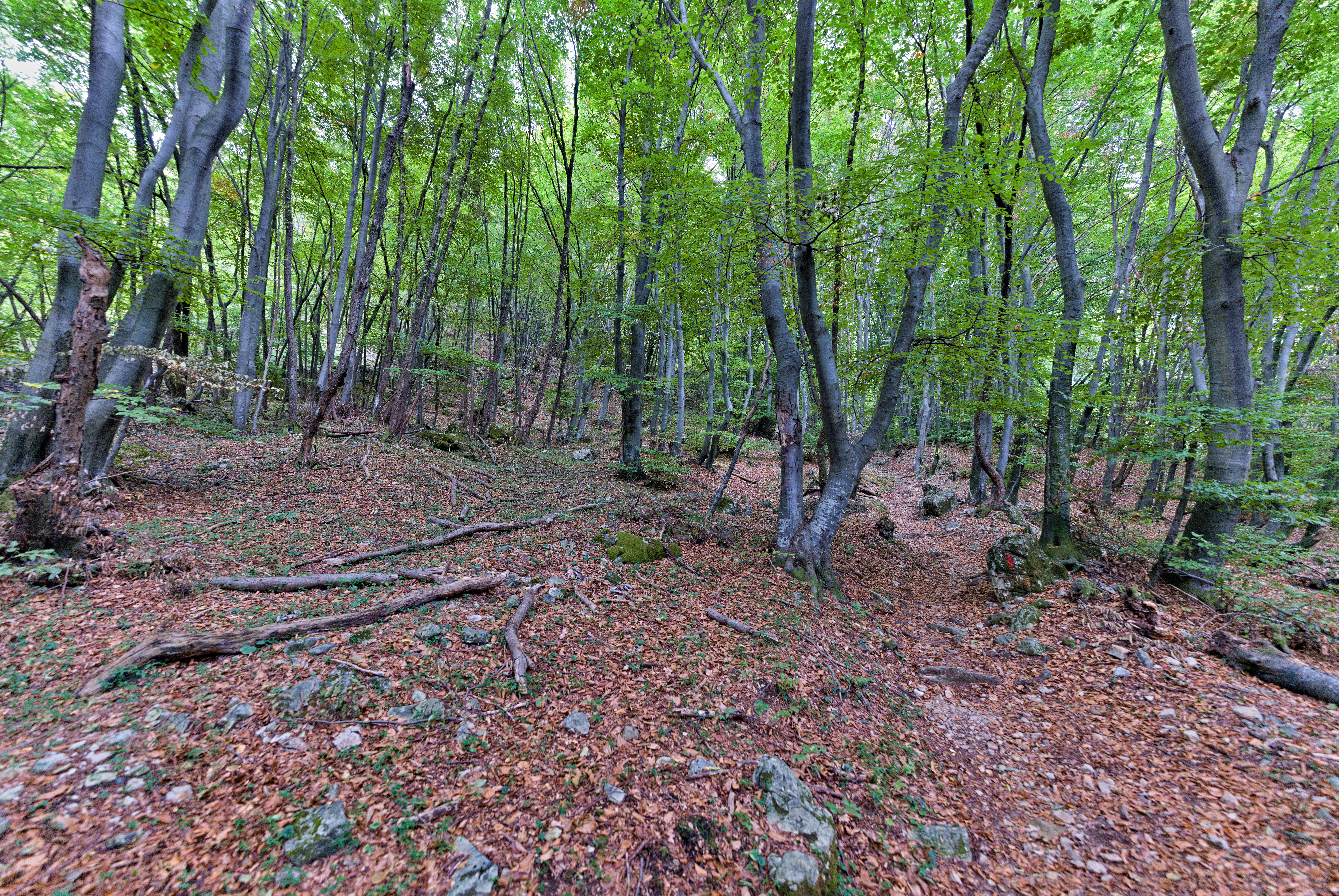 UNESCO / Monte San Giorgio - Brusino Arsizio | Secret World Trip Planner