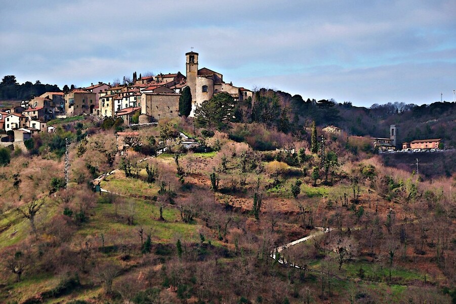 موزه باستان شناسی و شراب و تاک Scansano - Scansano | Secret World Trip Planner