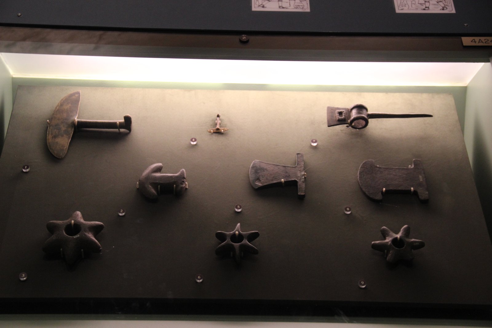 フィールド博物館は、世界を旅するためのパスポートです - Chicago | Secret World Trip Planner