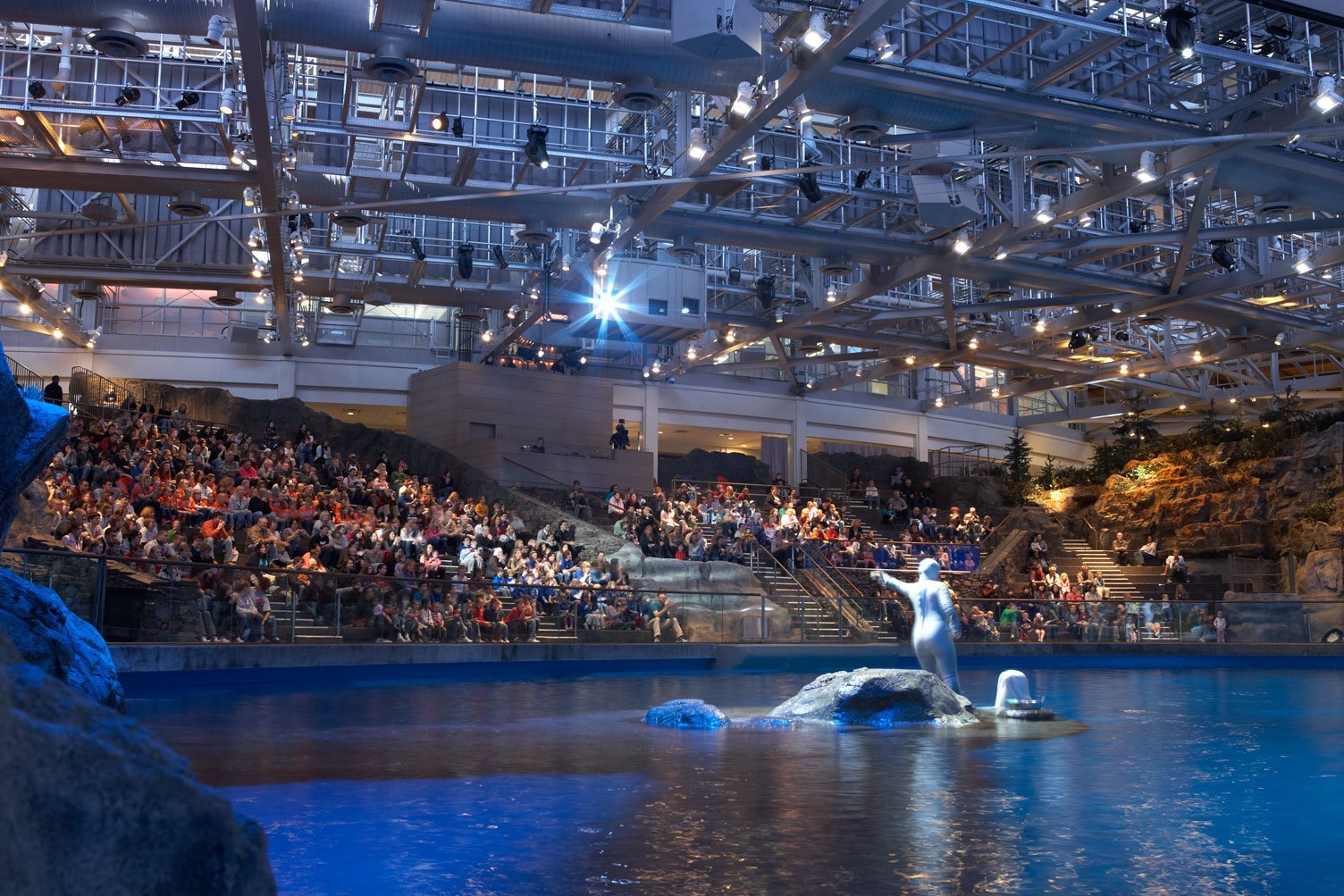 John G. Shedd Aquarium i Chicago - Chicago | Secret World Trip Planner