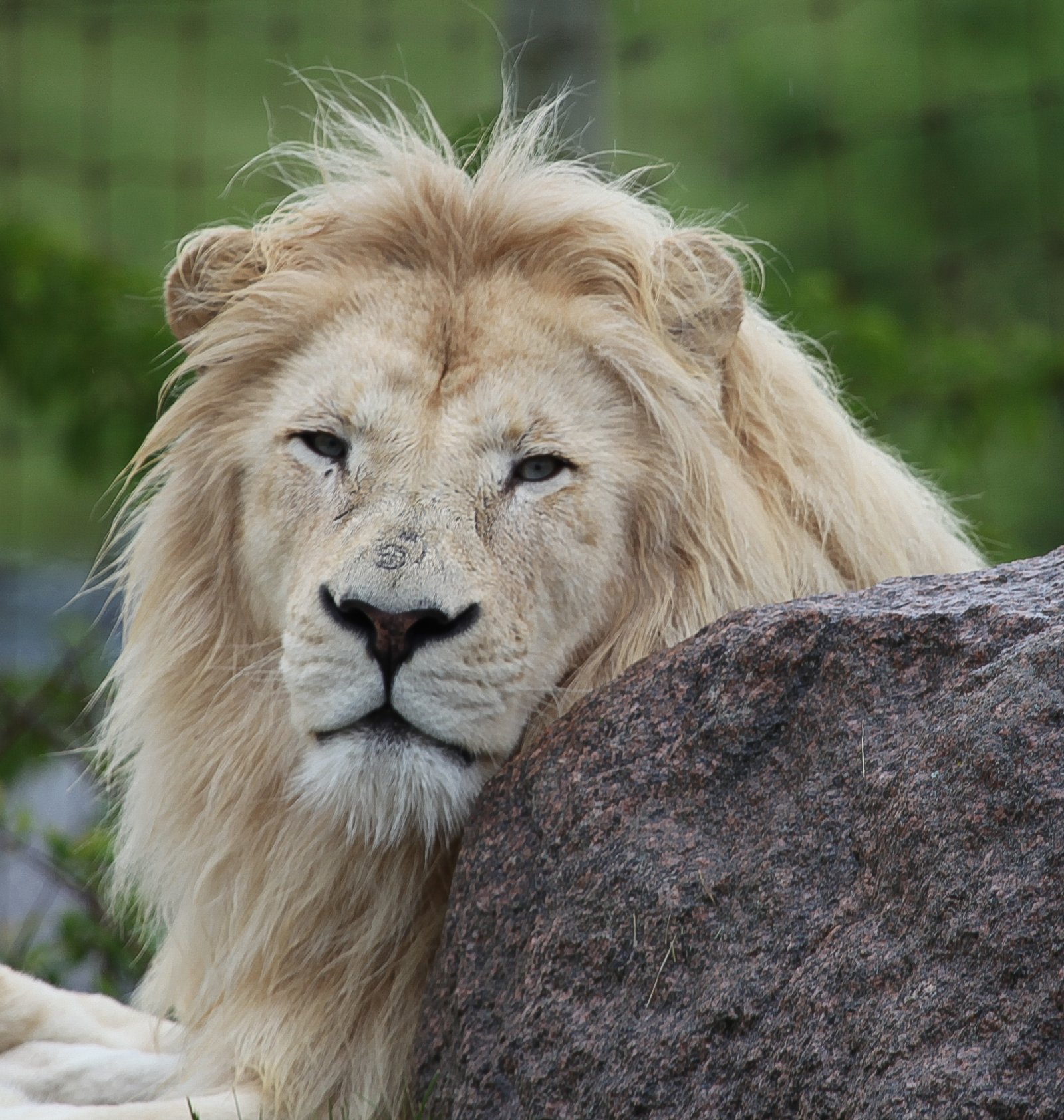 Toronto Zoo | Canada mkubwa wa Zoo - Toronto | Secret World Trip Planner