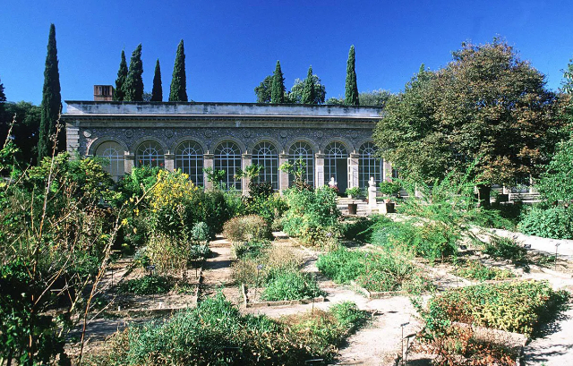 Gairdín plandaí - Montpellier | Secret World Trip Planner