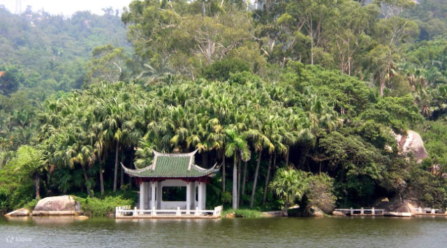 Selva tropical