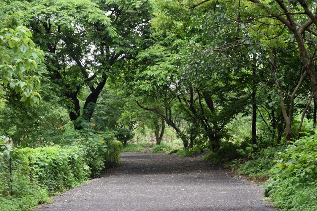 Parco naturale del Maharashtra - Mumbai | Secret World Trip Planner
