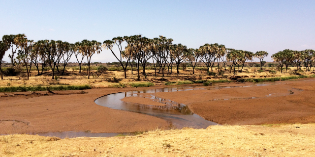 De los bosques a los desiertos: Las tier ...