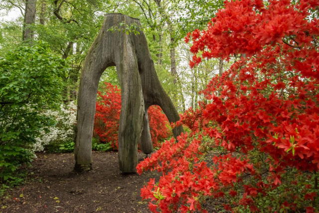 Le musée, le jardin et la bibliothèque de Winterthur - Winterthur | Secret World Trip Planner
