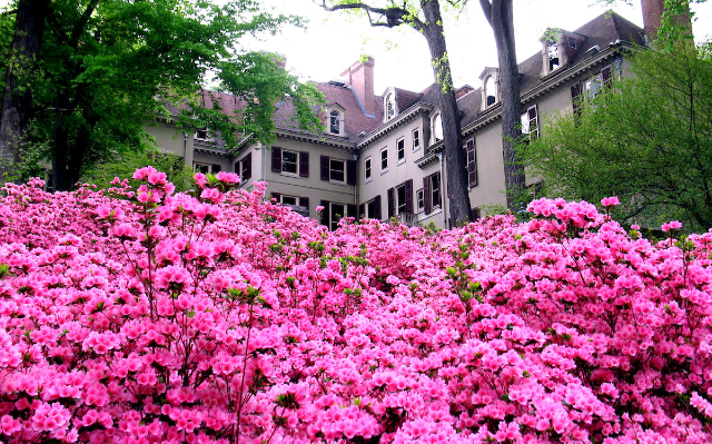 Le musée, le jardin et la bibliothèque de Winterthur - Winterthur | Secret World Trip Planner
