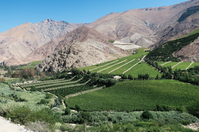 Valle del Elqui