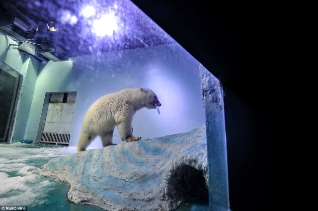 Parque Marino Polar de Qingdao - Qingdao | Secret World Trip Planner