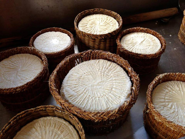 Canestrato IGP của Moliterno