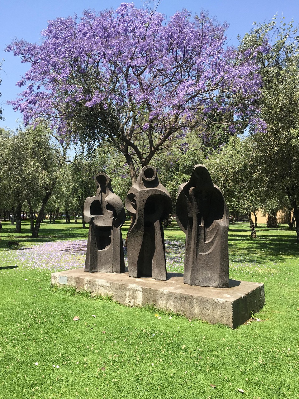 アブルッツォシャモア：世界で最も美しい - Alfedena | Secret World Trip Planner