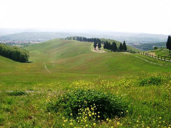 Туян / каноны Парк - 50052 Certaldo FI | Secret World Trip Planner