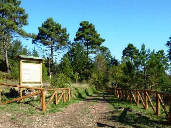 Toskana | gozdovi Cerbaie - Cerbaie | Secret World Trip Planner