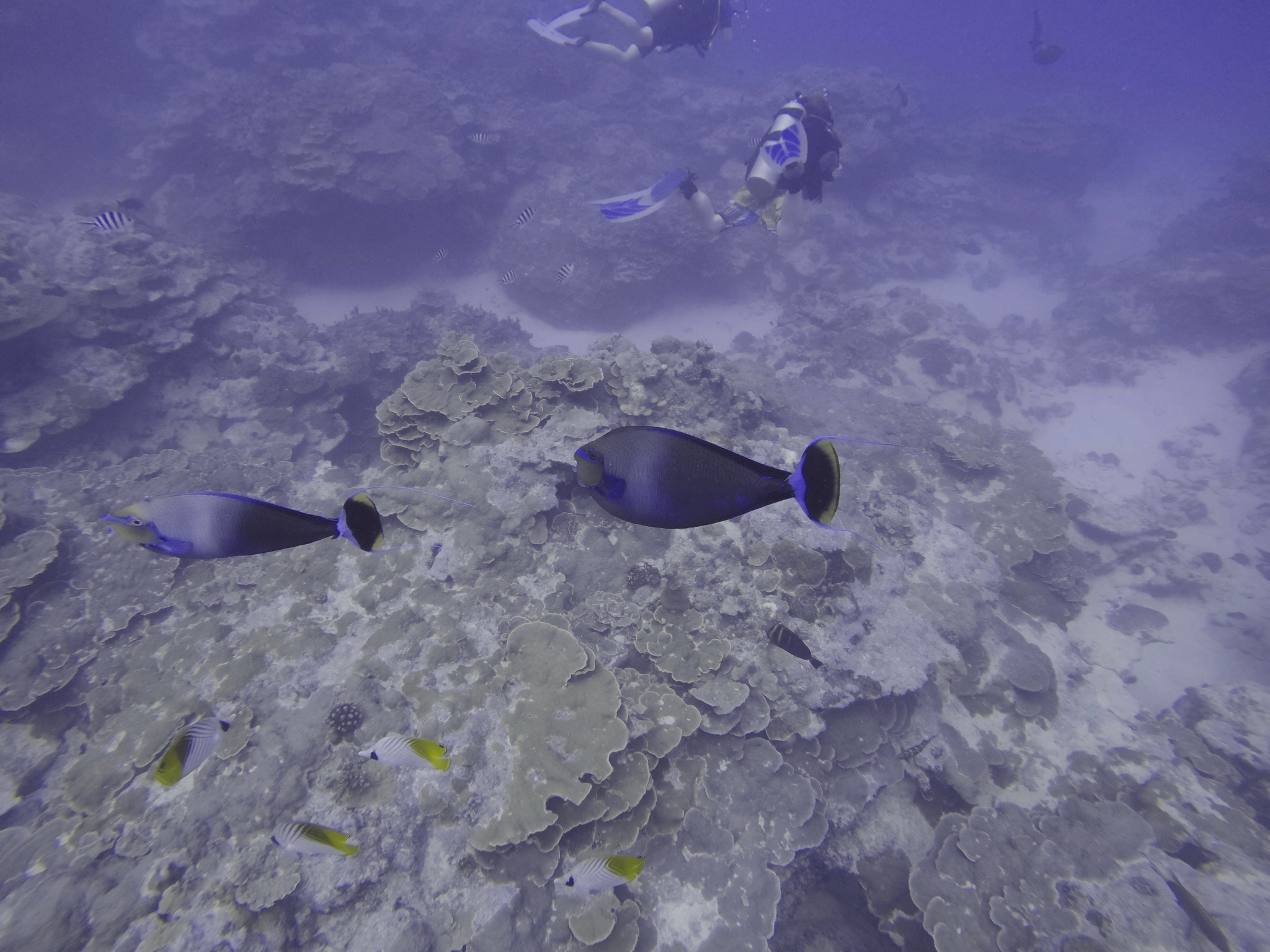 Les îles Cook | Aitutaki et le plus beau lagon du monde. - Aitutaki | Secret World Trip Planner