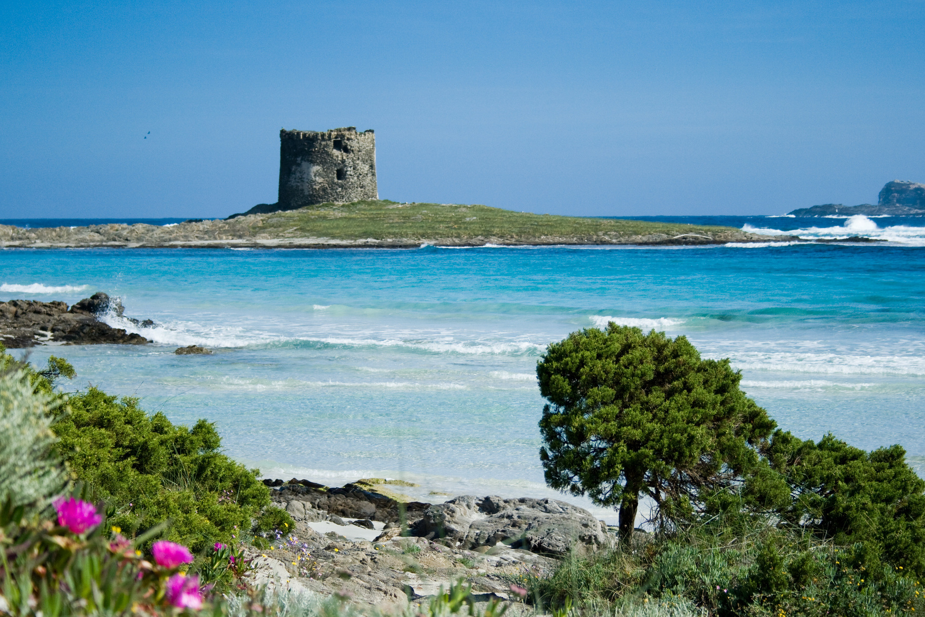 La Pelosa : indah Sardinia - Spiaggia La Pelosa | Secret World Trip Planner
