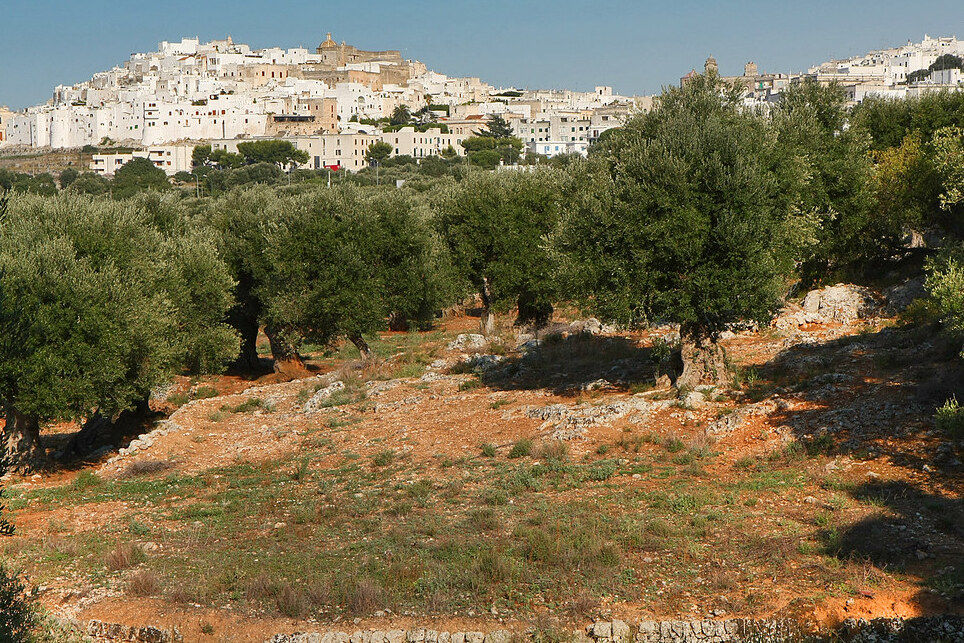 «Ostuni | La città panoramica per eccellenza - Ostuni | Secret World Trip Planner
