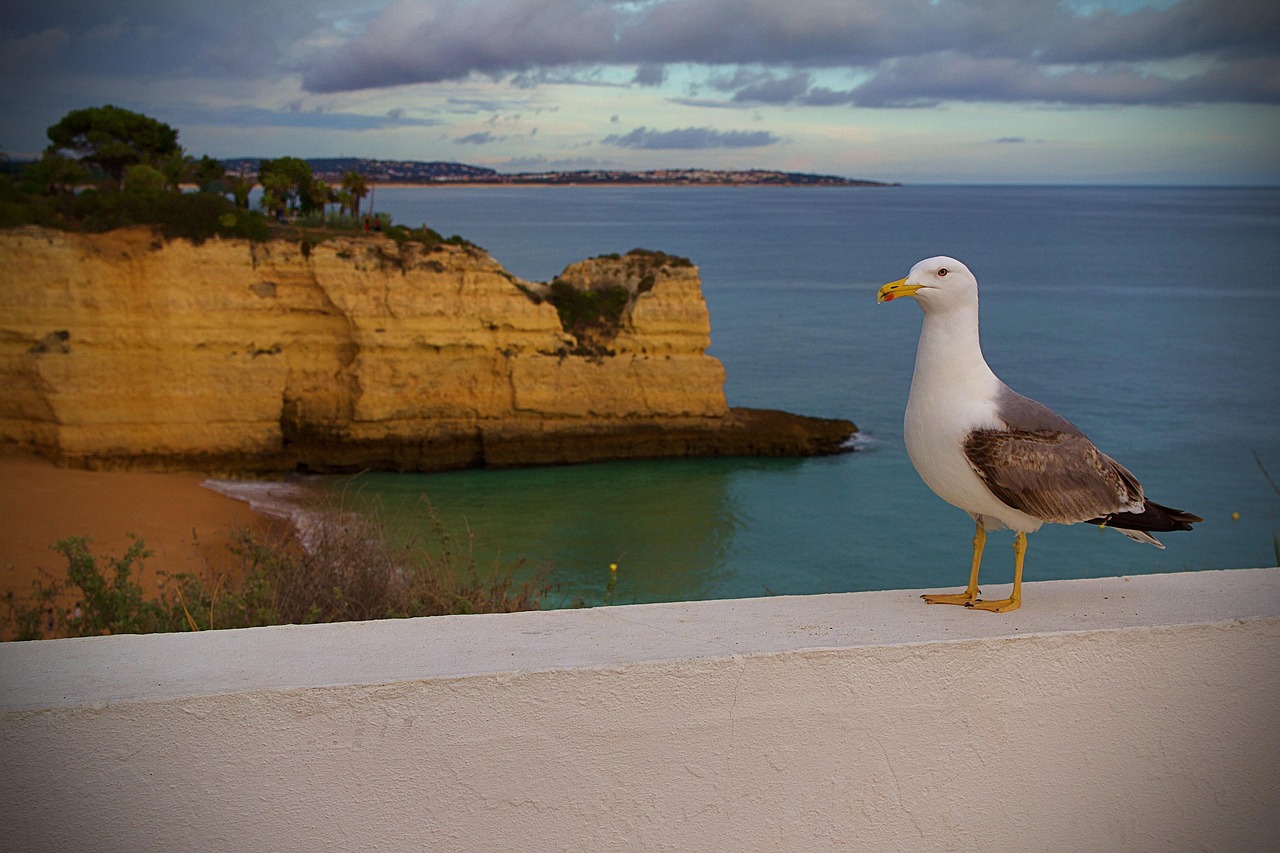 البوفيرا - Albufeira | Secret World Trip Planner