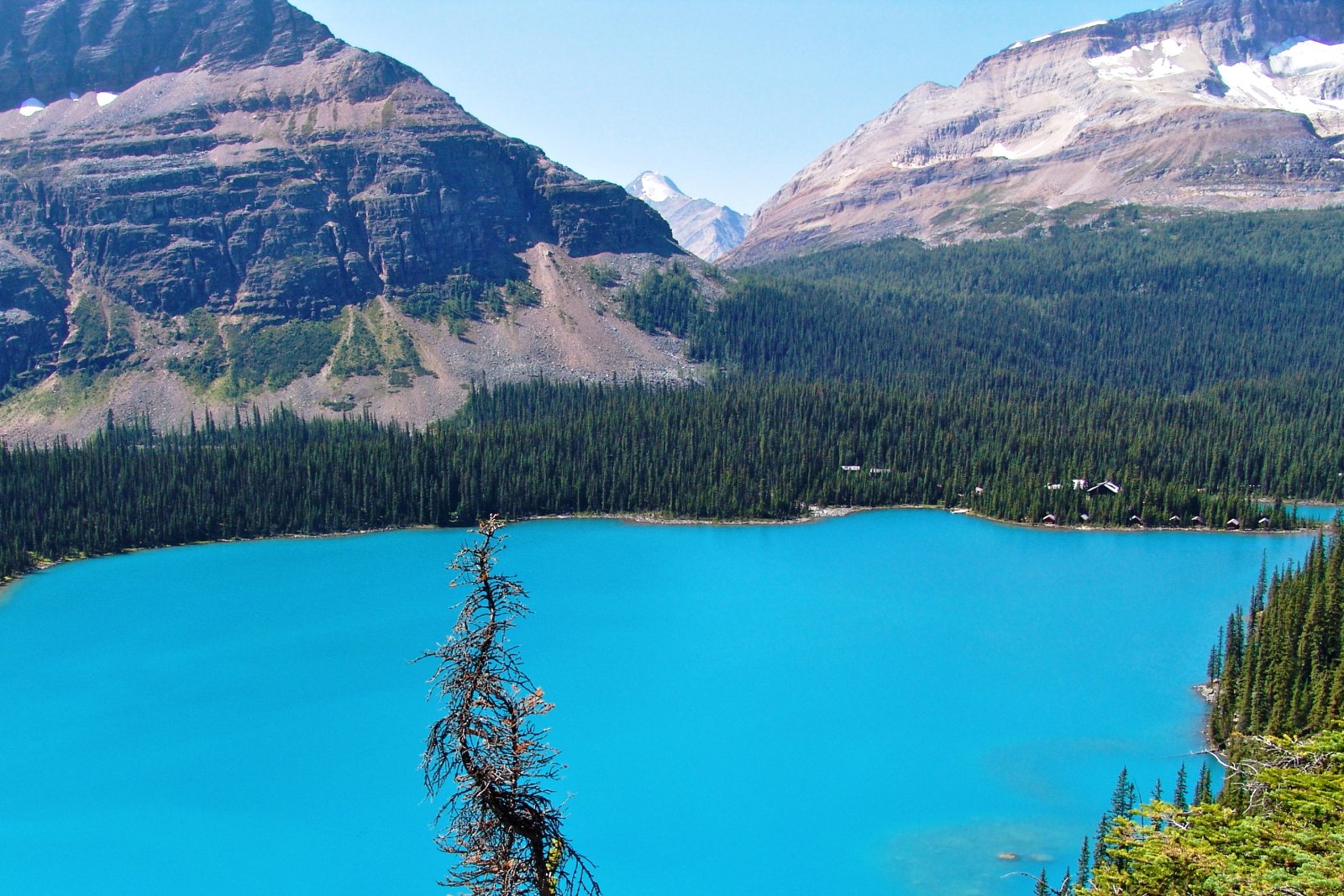 オハラ湖 - Columbia-Shuswap A | Secret World Trip Planner