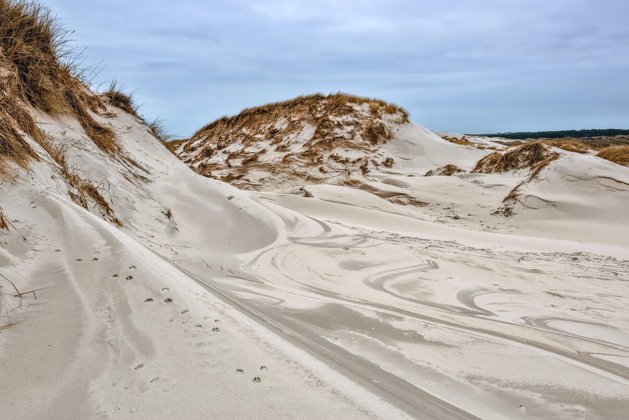 Great Sand Dunes National Park and Preserve - Colorado | Secret World Trip Planner
