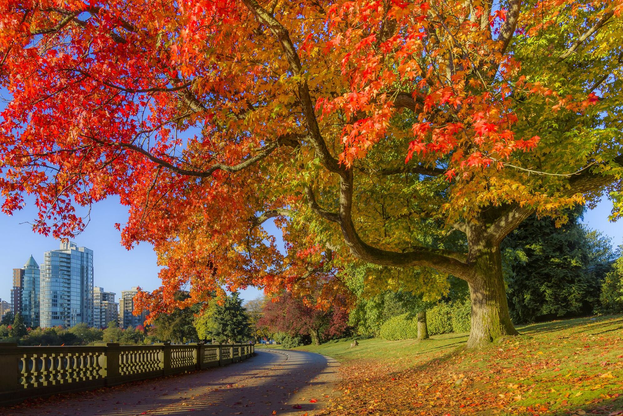 Stanley Park is Vancouver’s  fresh-air attraction - Vancouver | Secret World Trip Planner