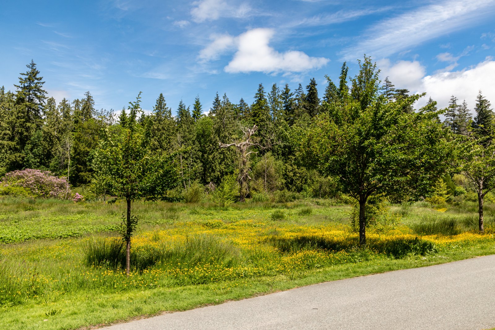 Stanley Park is Vancouver’s  fresh-air attraction - Vancouver | Secret World Trip Planner
